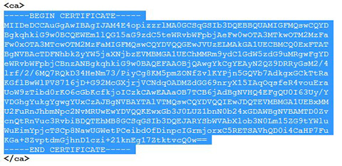 Certificate authority