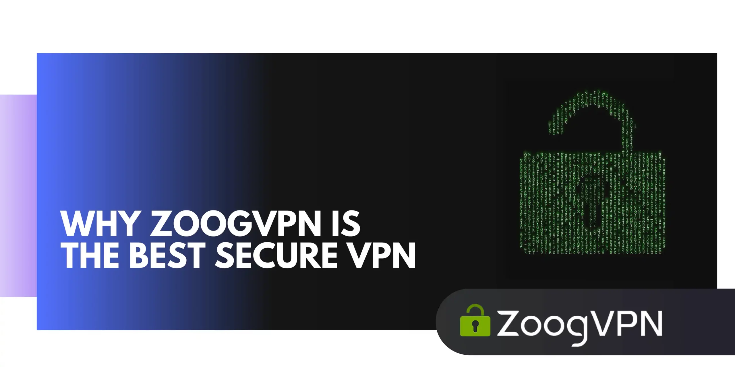 why zoogvpn is the best secure vpn app scaled